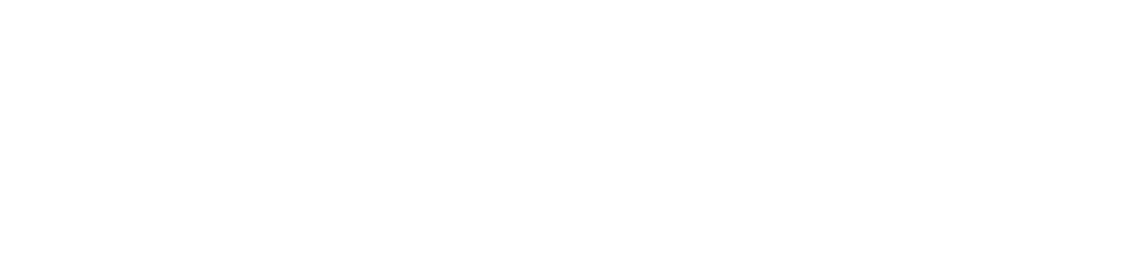 Hyatt — Magnum Pro client