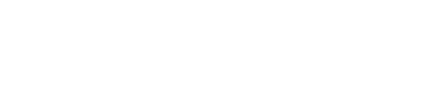 Hyatt — Magnum Pro client