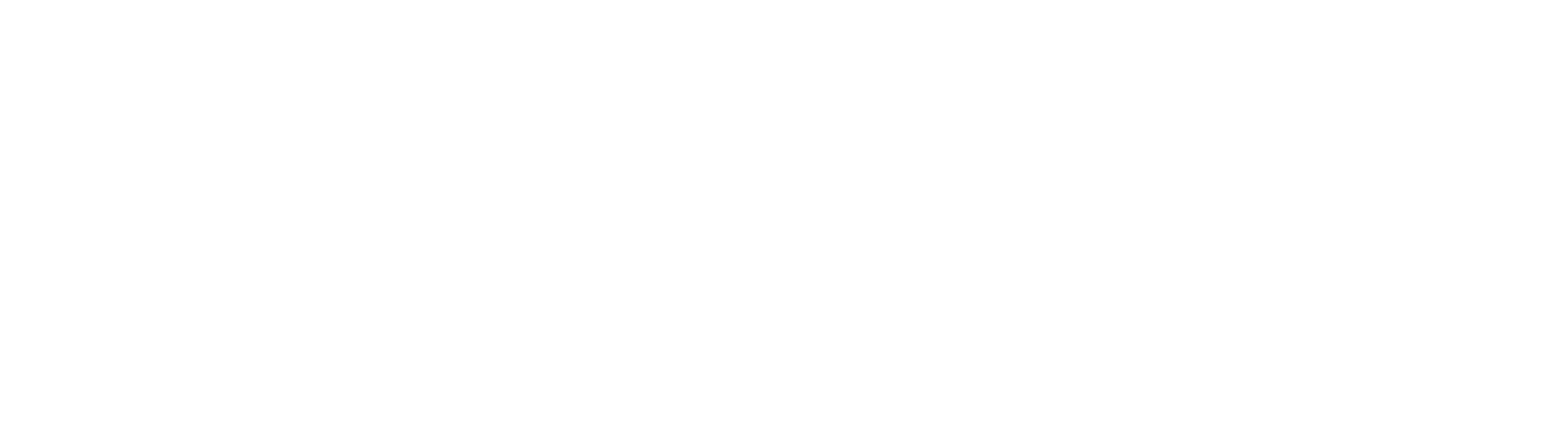 St. Regis — Magnum Pro client