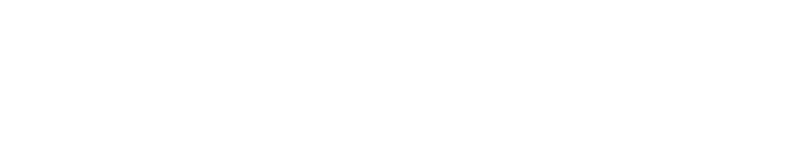 Toyota — Magnum Pro client