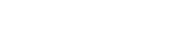 Toyota — Magnum Pro client